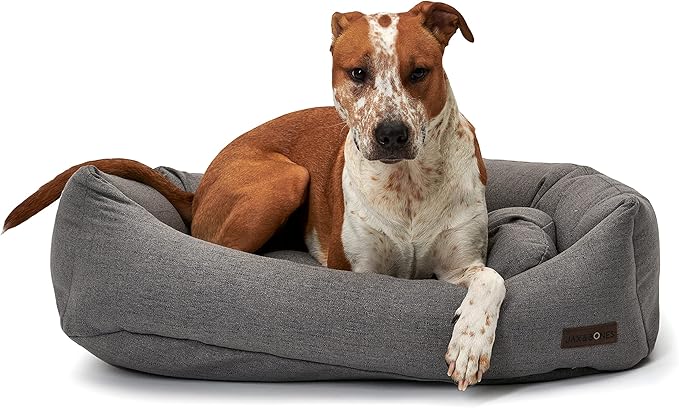 Jax & Bones Dog Bed Napper - Lark Graphite Machine Washable Dog Mat - Extra Heavy Duty Bolstered Sides - Medium Grey | 35 x 27 Inches