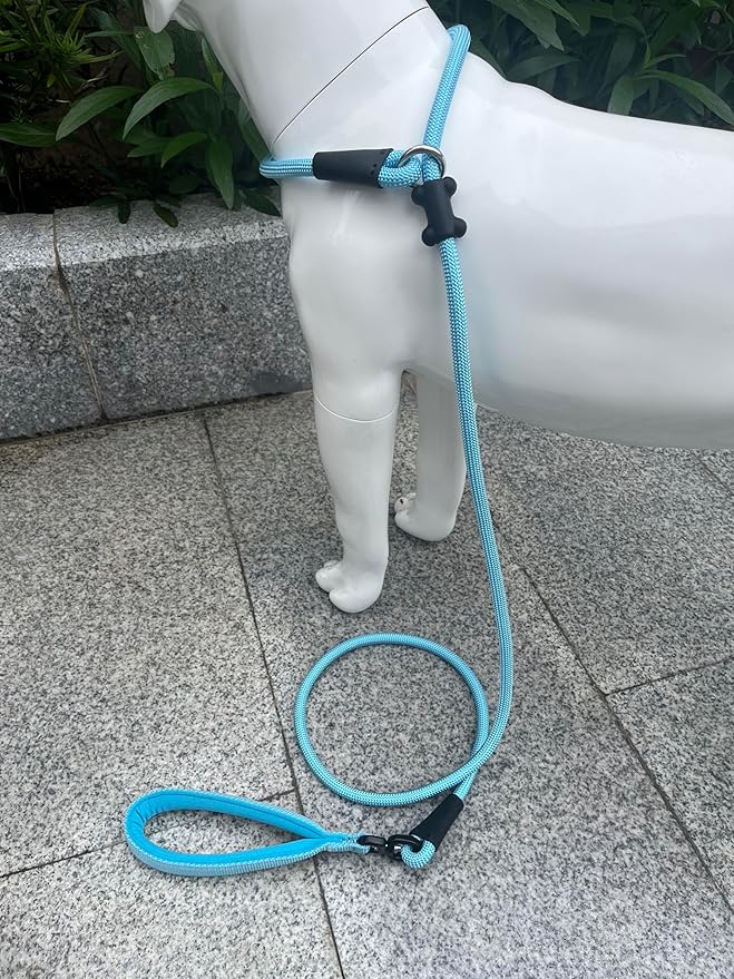 Slip Lead Dog Leash，Strong Nylon Rope Leash and Padded Handle,No Pull Outdoor Walking Training Lead for Small Medium Large Dogs(Light Bule, 1/2"×6ft)