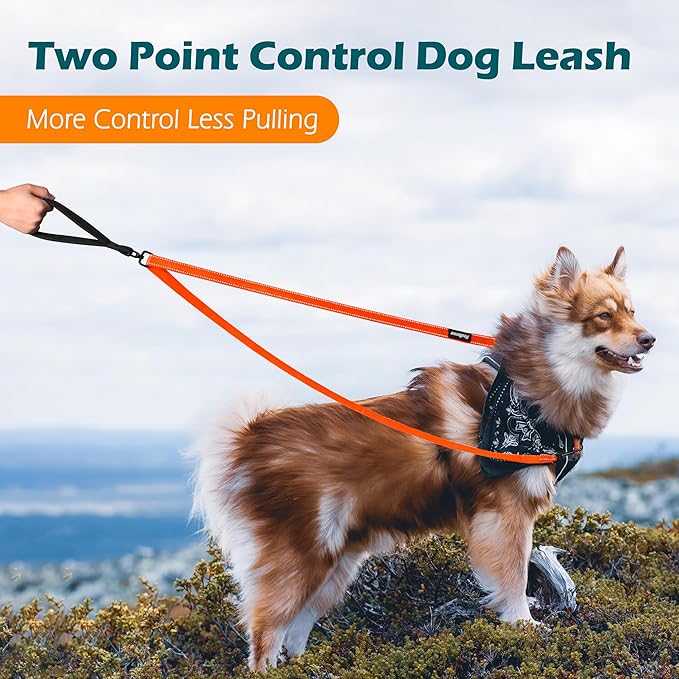 PetBonus Two Point Control Dog Leash, Works with No Pull Harnesses, No Tangle Training Leashes, Soft Padded and Reflective Walking Lead, Converts to Single Lead for Medium Large Dogs (Orange)