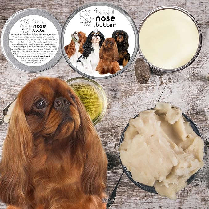 The Blissful Dog English Toy Spaniel Unscented Nose Butter, 16oz