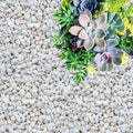 Perlite for Plants, Coarse and Chunky Horticultural Perlite, Organic Perlite for Gardening Indoor & Outdoor, Perlite Bulk Bag, Made in USA (1 Quart)