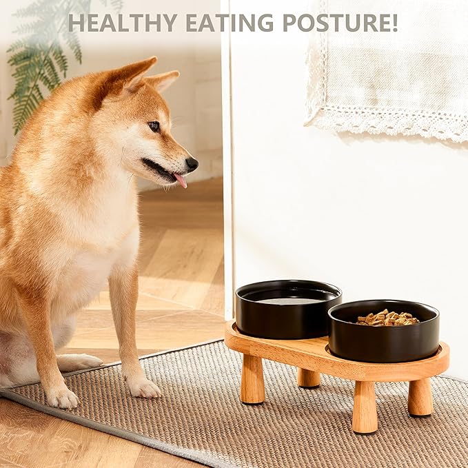 Ceramic Elevated Dog Bowls, Pet Food and Water Bowl Set for Small Dogs and Cats, 1.7 Cups Elevated Cat Bowls with Wood Stand, 14OZ, Black