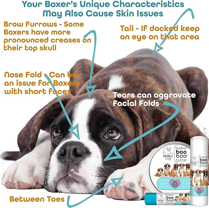 The Blissful Dog 4 oz TIN Boxer Booboo Butter