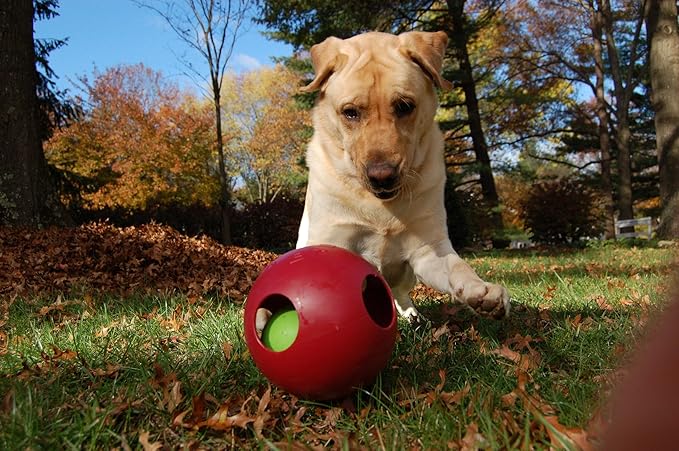 Jolly Pets Teaser Ball Dog Toy, Large/8 Inches, Red