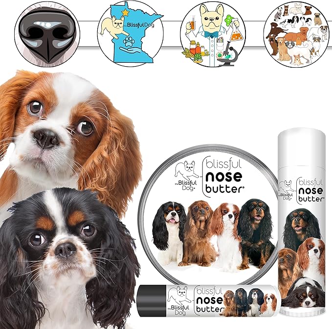 The Blissful Dog All 4 Cavalier King Charles Spaniel Unscented Nose Butter, 16oz