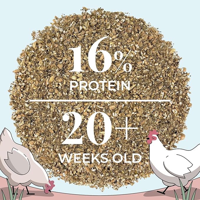 Organic Chicken Feed – Layer Mash, Non-GMO, USA Grown, 16% Protein, Corn-Free, Soy-Free, Non-Medicated Feed for Chickens, 23 lbs