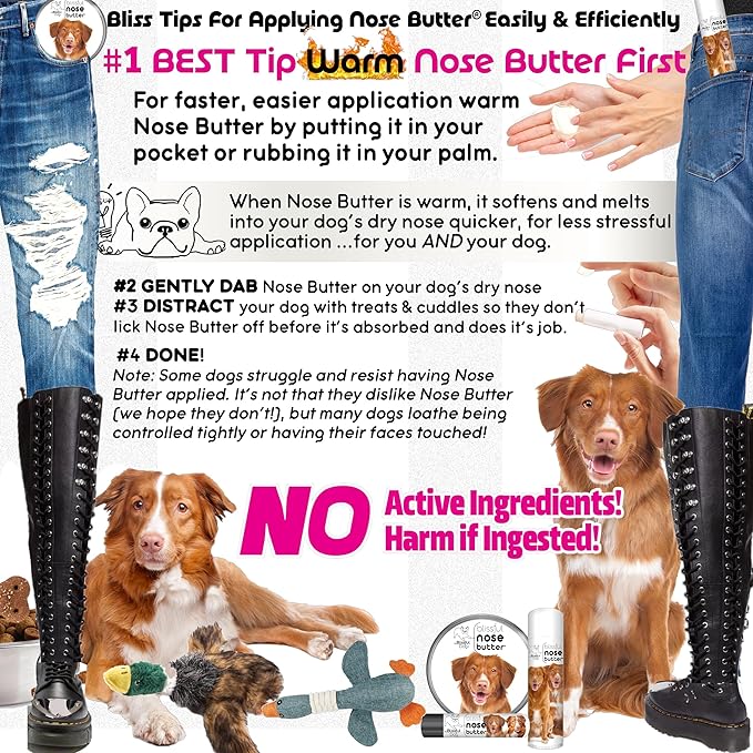 The Blissful Dog Nova Scotia Duck Tolling Retriever Unscented Nose Butter - Dog Nose Butter, 16 Ounce