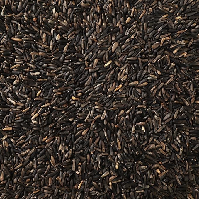 Nyjer/Thistle Seeds Wild Bird Food - 5 Pounds I No Grow Seed I Bird Seed for Wild Birds