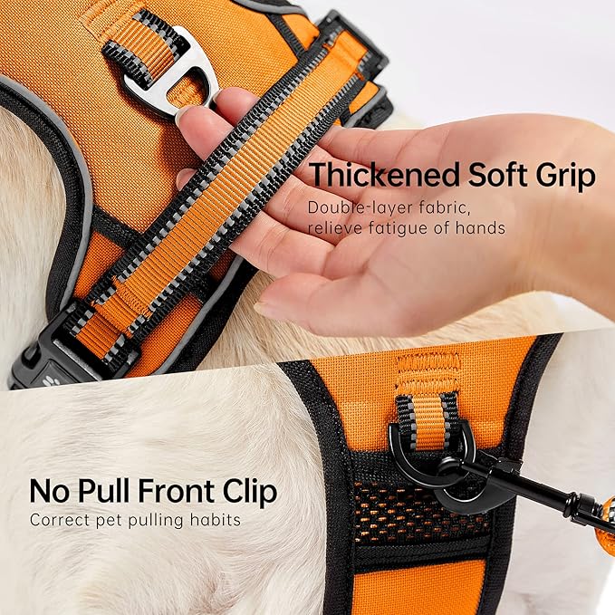 NESTROAD No Pull Dog Harness,Adjustable Oxford Dog Vest Harness with Leash,Reflective No-Choke Pet Harness with Easy Control Soft Handle for Small Dogs(Small,Orange)