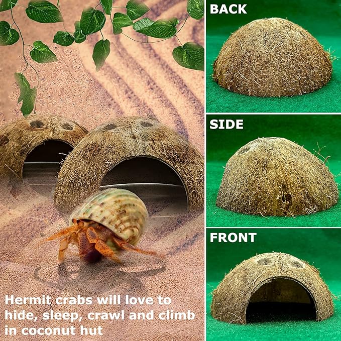 Hamiledyi Reptile Hideouts Natural Coconut Shells Hut Hermit Crab Climbing Toys Gecko Hide Cave Lizard Habitat Decor Plant Leaves Decoration for Spider Snake Chameleon (4Pcs)