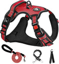 NESTROAD No Pull Dog Harness,Adjustable Oxford Dog Vest Harness with Leash,Reflective No-Choke Pet Harness with Easy Control Soft Handle for Small Dogs(Small,Red)