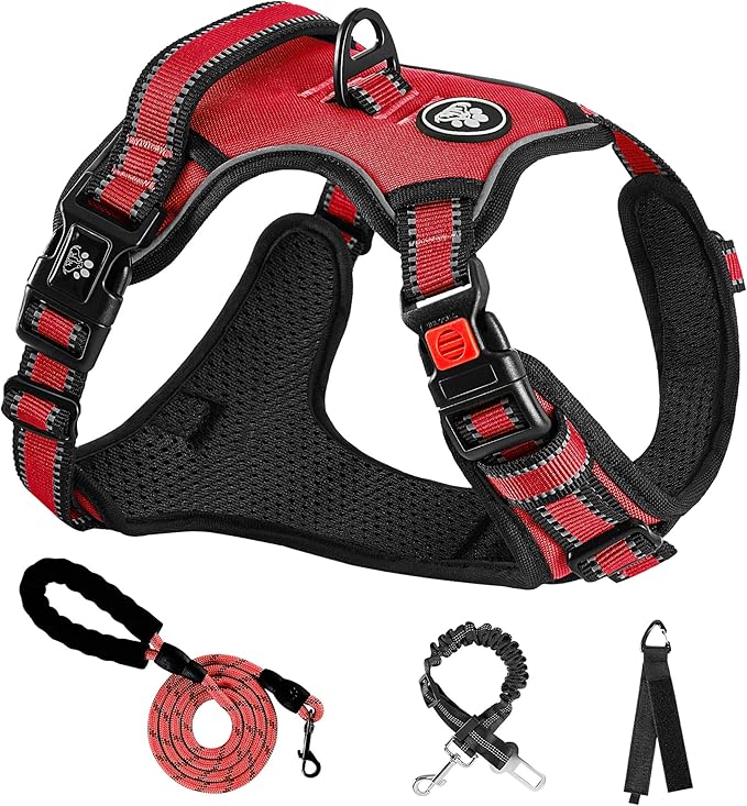 NESTROAD No Pull Dog Harness,Adjustable Oxford Dog Vest Harness with Leash,Reflective No-Choke Pet Harness with Easy Control Soft Handle for Small Dogs(Small,Red)