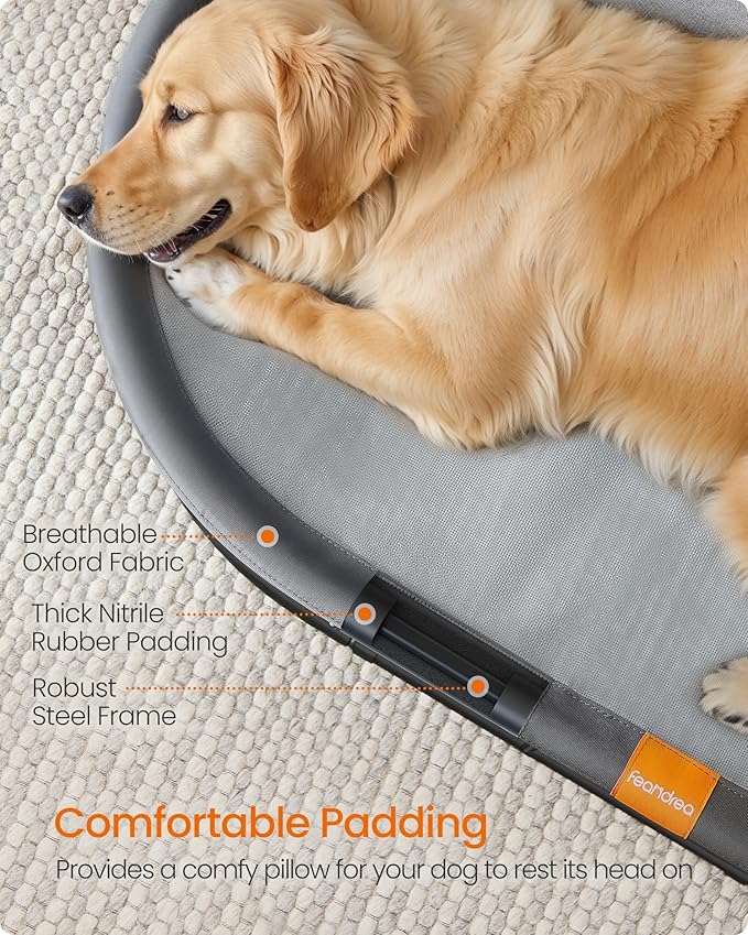 Feandrea Pet Bed, Cat Hammock, Elevated Cat Bed for Multiple Cats, with Removable Washable Mesh, for Pets up to 120 lb, Oval, Gray UPCB005G01
