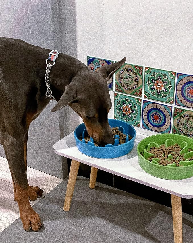 LE TAUCI Dog Bowls Slow Feeder Ceramic, 1.5 Cup Slow Feeding Bowl for Small and Medium Breed, Puzzle Dog Food Bowl for Fast Eater, Vortex Blue