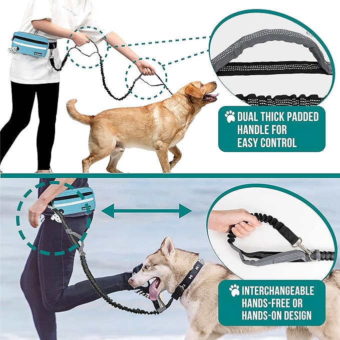 PetAmi Hands Free Dog Leash, Running Leash Belt for Walking, Jogging, Waist Zipper Pouch with Poop Bag Dispenser, Dual Padded Handles, Reflective Durable Bungee Single, Turquoise, 1