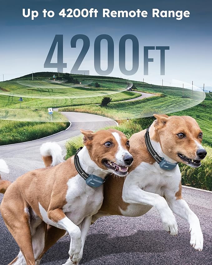Jugbow Dog Shock Collar 2 Dogs (10-120Lbs) - 4200FT Dog Training Collar with Remote IPX7 Waterproof Electric Collar with 4 Training Modes, Rechargeable e-Collar for Lager Medium Small Dog Cyan Blue