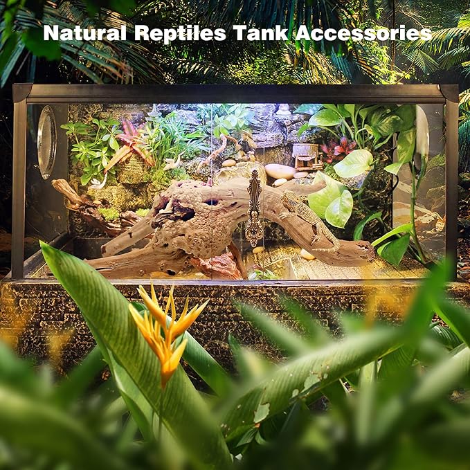 WDEFUN Natural Spiderwood for Aquarium Decor 3-Piece 7''-11'' Long Natural Driftwood Branches for Fish Tank Decorations