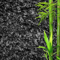 Horticultural Charcoal for Plants – Organic Bio Char Soil Amendment for Terrariums, Indoor Plants & Gardening, Made in USA (3 quarts)