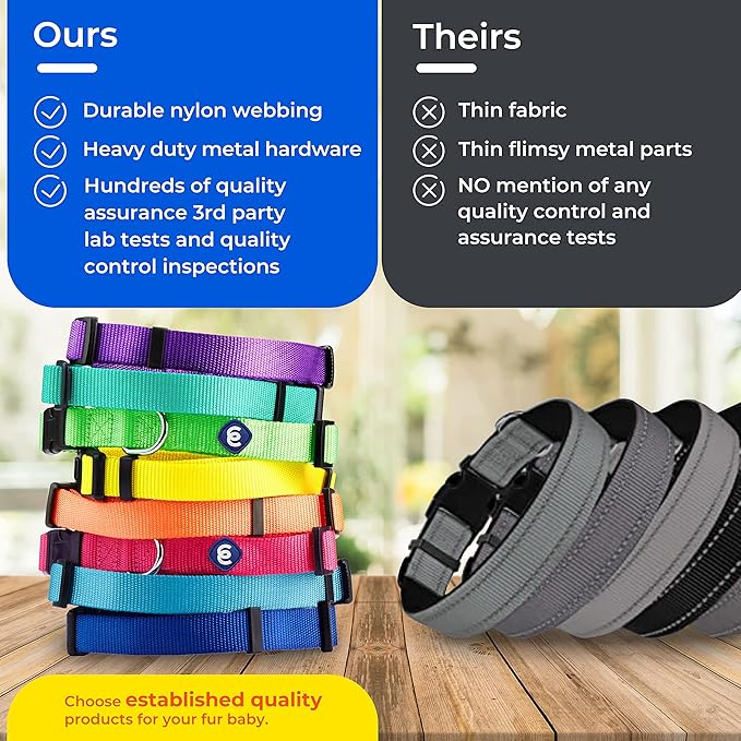 Blueberry Pet Essentials Medium Dog Collar in Emerald | Adjustable & Eco-Friendly Durable Nylon Strap | Classic Collar for Medium Dogs, Boy & Girl Pets