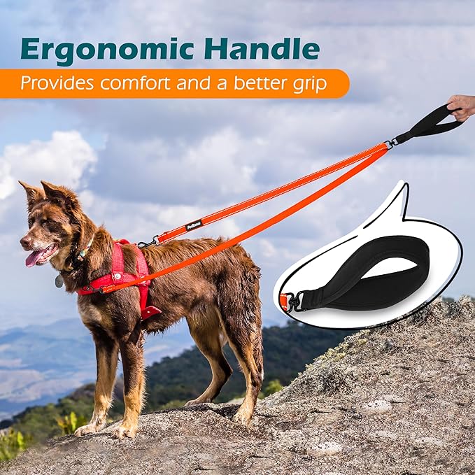 PetBonus Two Point Control Dog Leash, Works with No Pull Harnesses, No Tangle Training Leashes, Soft Padded and Reflective Walking Lead, Converts to Single Lead for Medium Large Dogs (Orange)