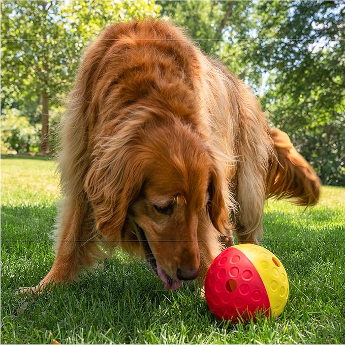 Outward Hound by Nina Ottosson Treat Tumble Interactive Puzzle Ball Dog Toy, Level 1 Beginner, Pink, Large (5.75" Diameter)