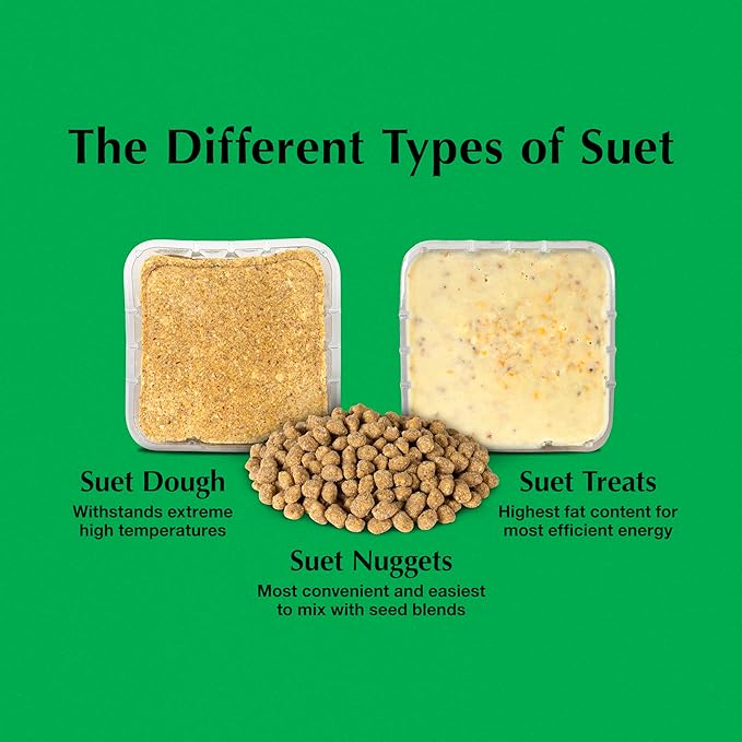 C&S Sunflower Suet Nuggets, Suet Nuggets for Wild Birds, 27 Ounces