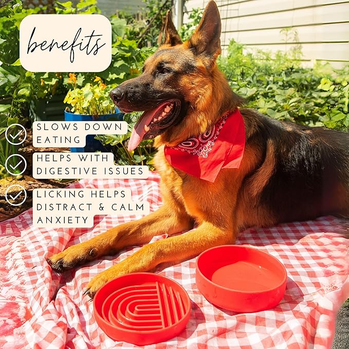 The Slowdown Bowl Silicone Slow Feeder for Dogs & Puppies, Slow Eating, Modern Lick Mat Design, Reduces Gulping, Fits 2 Cups 7.5” Across x 1.5” Tall, Mealtime Challenge, Medium-Cherry