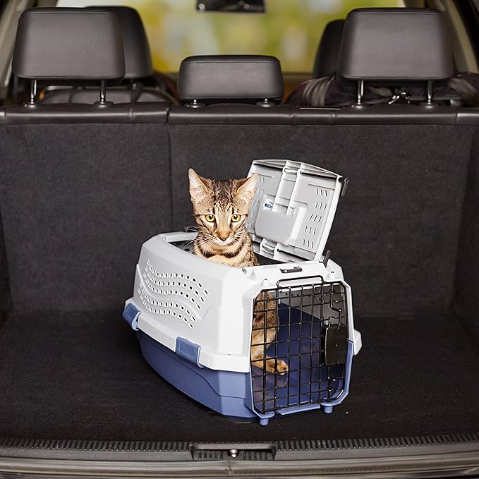 Amazon Basics 2-Door Top-Load Hard-Sided Cat Pet Travel Carrier, 19.0" L x 12.6" W x 10.0" H, Gray & Blue