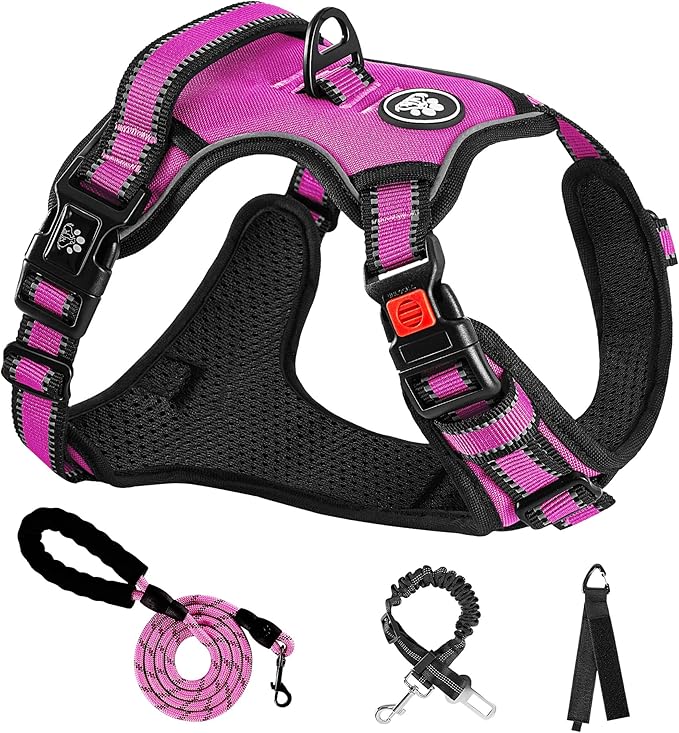 NESTROAD No Pull Dog Harness,Adjustable Oxford Dog Vest Harness with Leash,Reflective No-Choke Pet Harness with Easy Control Soft Handle for Small Dogs(Small,Fuchsia Pink)
