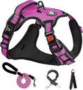 NESTROAD No Pull Dog Harness,Adjustable Oxford Dog Vest Harness with Leash,Reflective No-Choke Pet Harness with Easy Control Soft Handle for Small Medium Dogs(Medium,Fuchsia Pink)