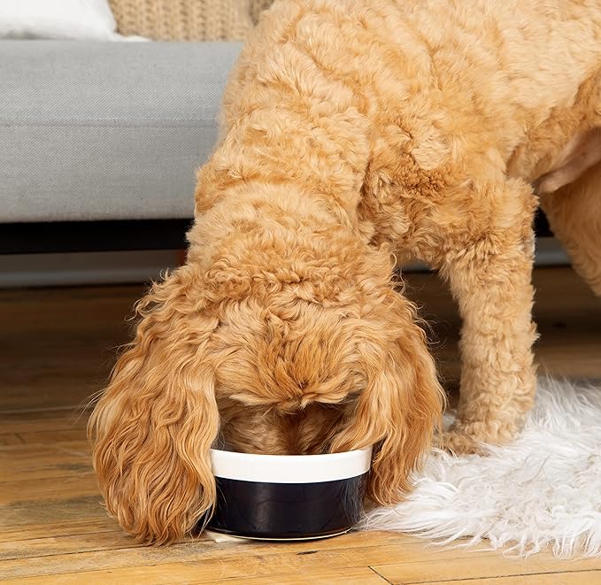Waggo Dipper Ceramic Dog Bowl for Small and Large Breeds - Heavyweight and Durable Pet Food and Water Dish Crock, Dishwasher Safe, Modern (Black, Medium)