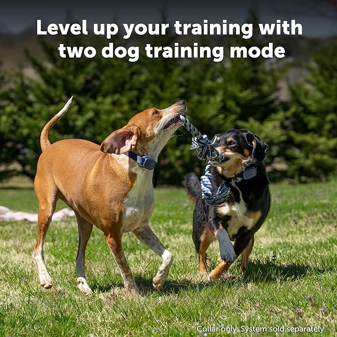 PetSafe Core Remote Trainer Add-A-Dog Collar – Extra Collar for Dog Training Collar with Remote – Waterproof – Tone, Vibration and 15 Levels of Static – Built-in LED Light