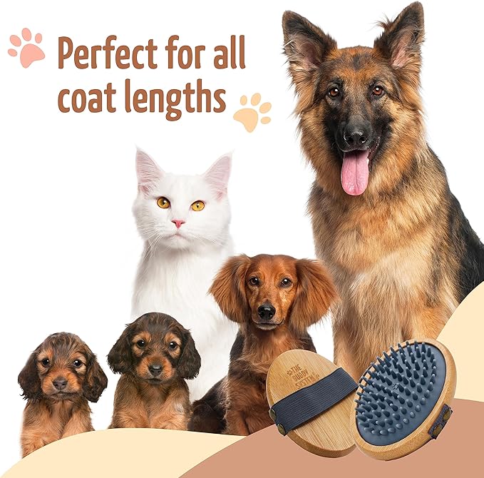 The Buddy System Rubber Pet Close Brush, Soft Touch Oval Palm Brush - Bamboo Massage Handheld with Rubber Bristles and Elastic Band for Dogs and Cats - Gray