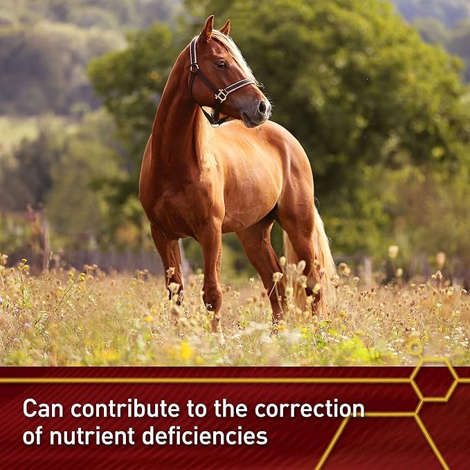 Pro E and Horse Selenium Supplement, Balanced Essential Antioxidants, 20 Pound, 320-Day Supply