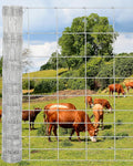 Cattle Farm Fence, 5ft x 164ft Galvanized Wire Fencing for Goat Deer Hog Yard Livestock Animals Protection