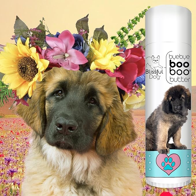 The Blissful Dog Leonberger Boo Boo Butter, 0.50-Ounce