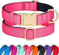 Didog Soft Padded Dog Collars for Medium Dogs, Colorful and Durable Dog Collar with Quick Release Buckle, Light and Breathable for Daily Walking, Pink, M