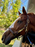 Leaders Leather Halter for Horses with Customized Engraved Name Plate Option Halter for Horse