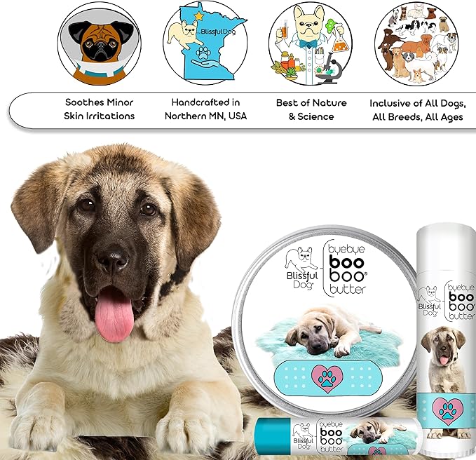 The Blissful Dog Anatolian Shepherd Boo Boo Butter, 1 Ounce
