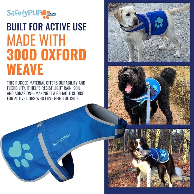 Dog Reflective Vest – Hi-Vis Fluorescent Visibility That Helps to Safeguard Your Pet On/Off Leash in Urban & Rural Areas (Blue, X-Large)