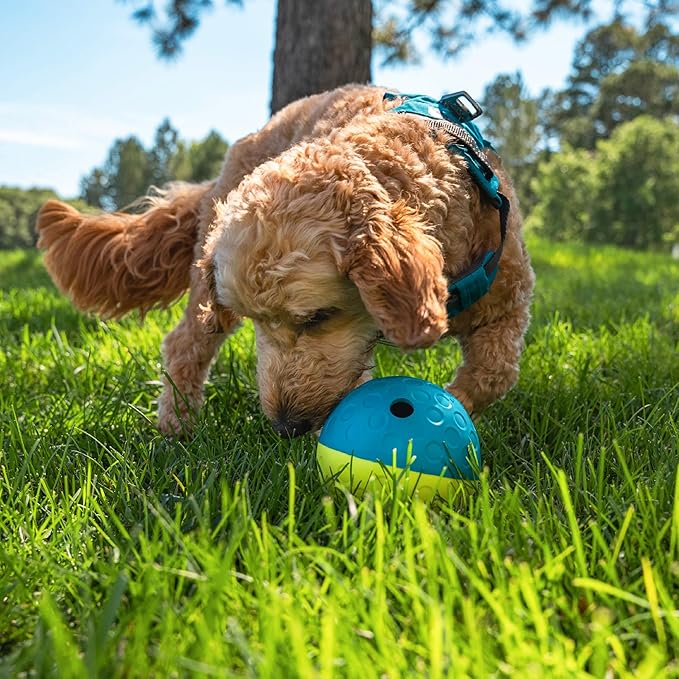 Outward Hound by Nina Ottosson Treat Tumble Interactive Puzzle Ball Dog Toy, Level 1 Beginner, Blue, Small (4.75" Diameter)