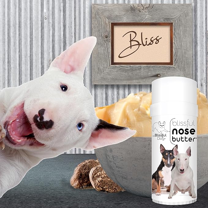 The Blissful Dog Bull Terrier Unscented Nose Butter - Dog Nose Butter, 2 Ounce
