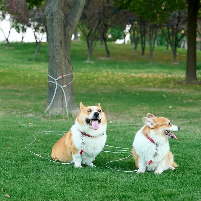 Amazon Basics Tie-Out Cable for Dogs up to 90 lbs, 25 feet, White