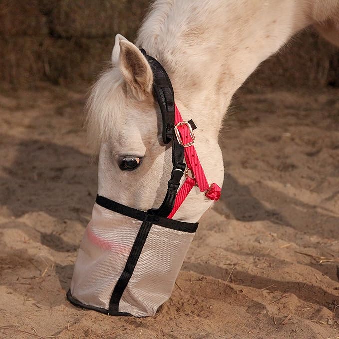 Majestic Ally Horse Feed Bag, Heavy Duty Nylon Mesh Grain Feed Bag, Adjustable Strap with Durable Snap and Elastic Straps, Comfort Neck Pad and Nose Pad- Large (Draft, Beige)