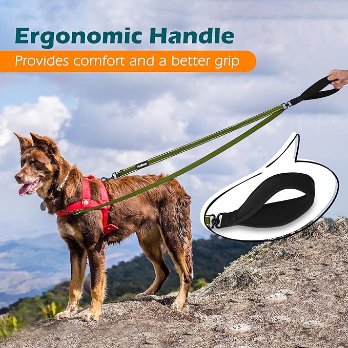PetBonus Two Point Control Dog Leash, Works with No Pull Harnesses, No Tangle Dog Training Leashes, No Pull Padded and Reflective Walking Lead, Converts to Single Leash for Large Dogs (Khaki Green)