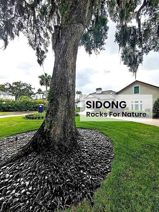 SIDONG 5 LB Black River Rocks, 0.4-1.2 Inches Highly Polished Pebbles for Indoor Plants, Decorative Stones for Plants, Fish Tank, Vases, Home Décor, Crafting, Garden Landscaping