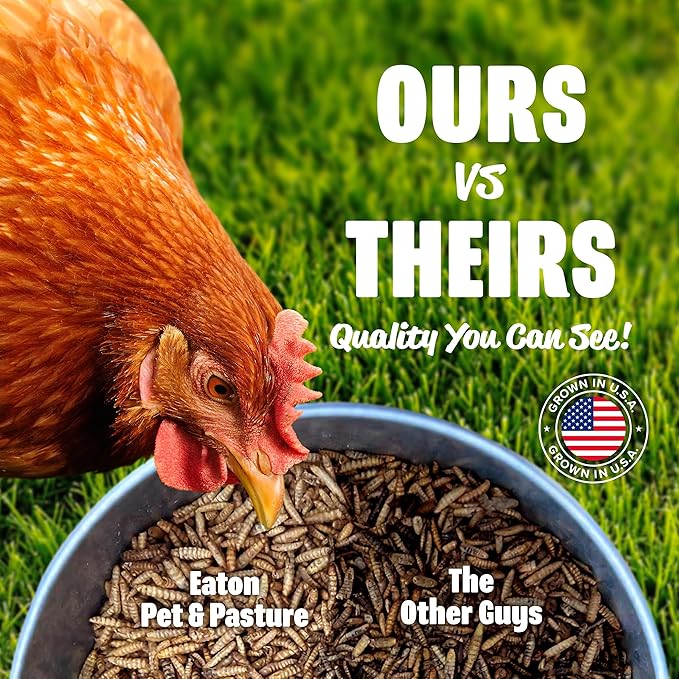 Eaton Pet and Pasture Premium Grubs, USA Grown Dried Black Soldier Fly Larvae, High Calcium Treat for Chickens, Ducks, Wild Birds (5 LB)