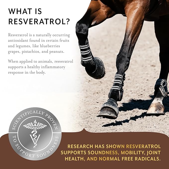 Equithrive Original Joint Supplement Powder with Resveratrol and Hyaluronic Acid for Horses, Equine Care, 8 lbs