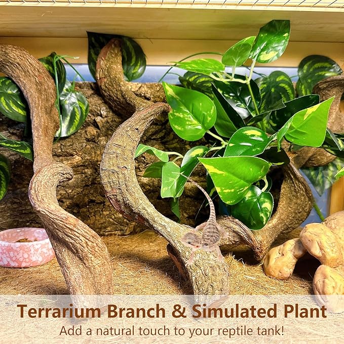 BNOSDM 3Pcs Reptile Climbing Branches Decor,Snake Climbing Branch,Gecko Climb Wood,Lizard Forest Branch,Tank Habitat Tree Trunk Decorations for Bearded Dragons,Chameleons,Spider,Frogs (M)