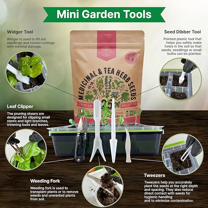 Organo Republic 25 Medicinal & Tea Herb Seeds Variety Pack for Indoor & Outdoors. 10900+ Non-GMO Heirloom Garden Seeds: Anise, Borage, Cilantro, Chamomile, Dandelion, Rosemary, Peppermint Seeds